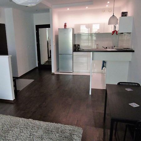 Mone - Fajny Apartament W Centrum Wroclawia エクステリア 写真