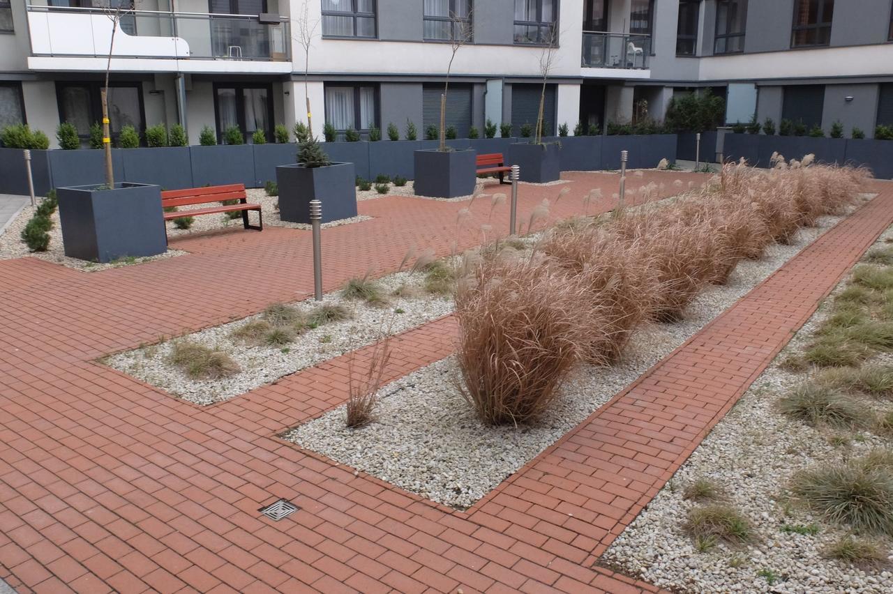 Mone - Fajny Apartament W Centrum Wroclawia エクステリア 写真